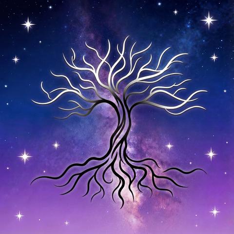 Absolute Path Boundary Live